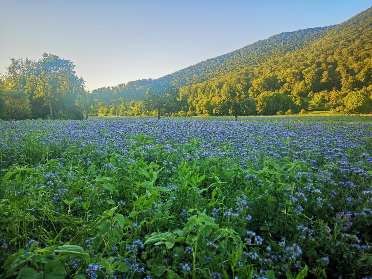 Ferienwohnung Im Haus Lotus Mit Grossem Balkon Und Garten Bad Urach Esterno foto